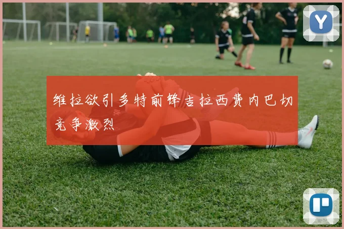 维拉欲引多特前锋吉拉西费内巴切竞争激烈