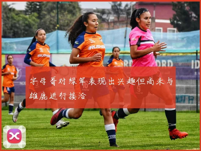 字母哥对绿军表现出兴趣但尚未与雄鹿进行接洽